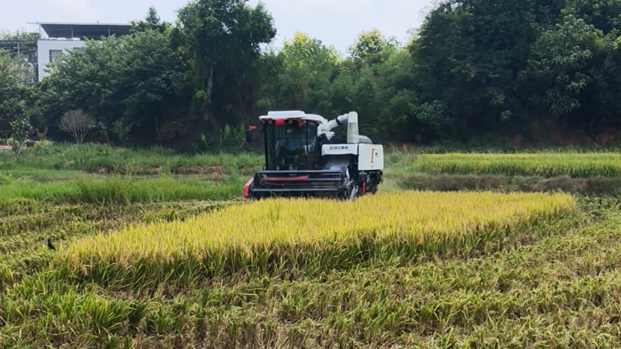 XR720����ˮ��������Ч��ҵ�ٷ���